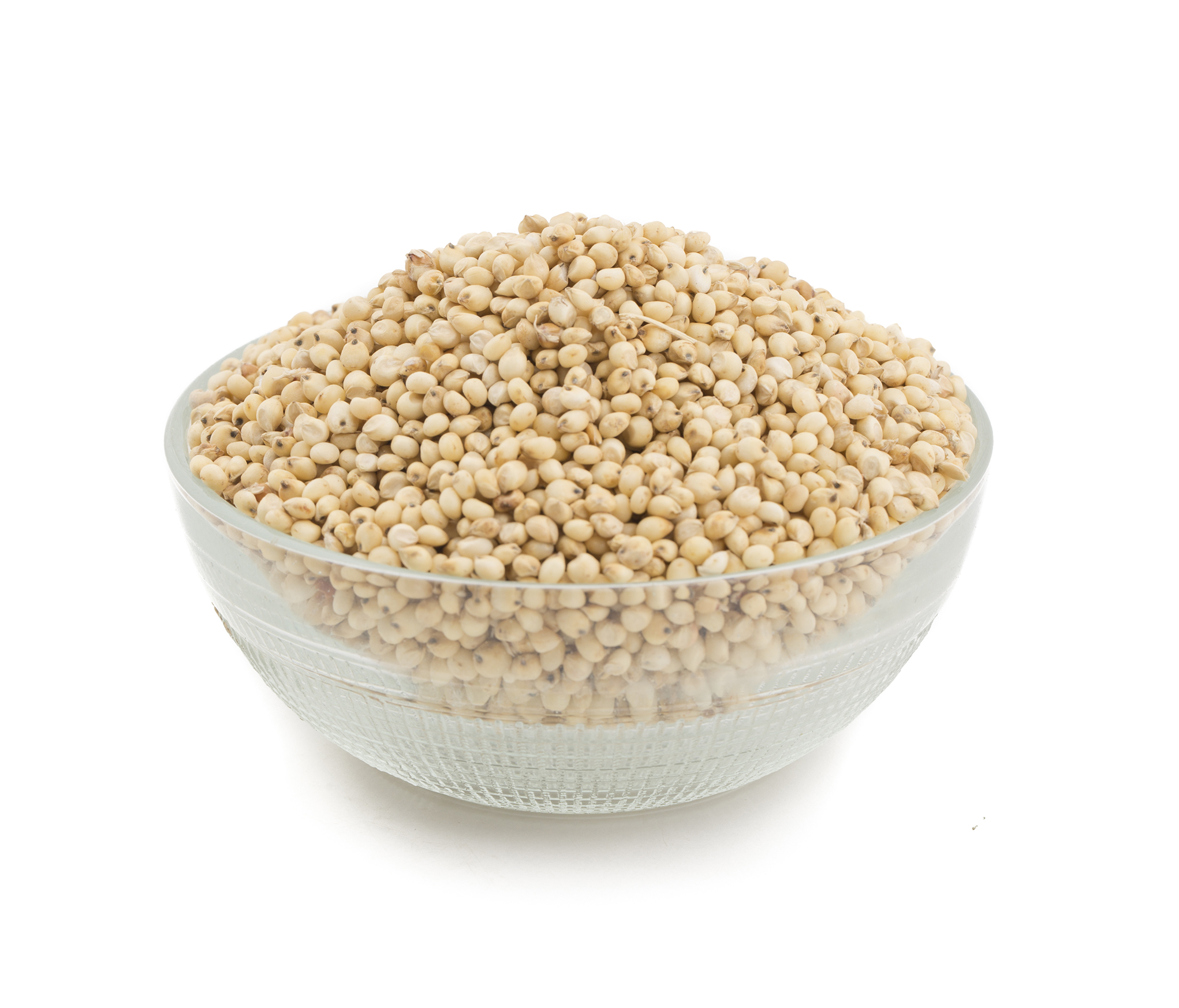 Sorghum